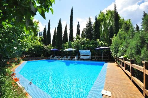 Гостевой дом Inn Zolotoj bereg Солнечногорское-28