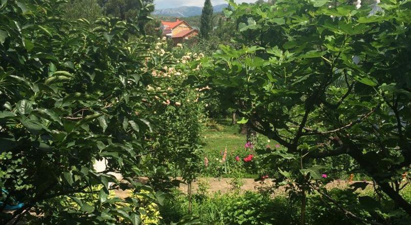 Гостевой дом Inn Zolotoj bereg Солнечногорское-27