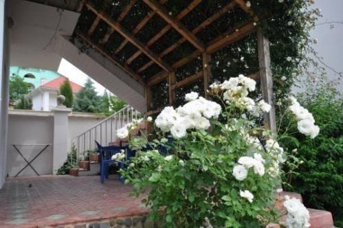 Гостевой дом Inn Zolotoj bereg Солнечногорское-6